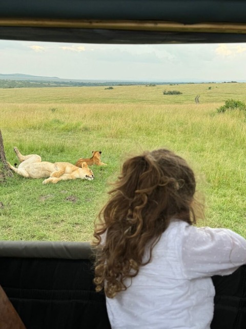 Niña mirando leones en safari